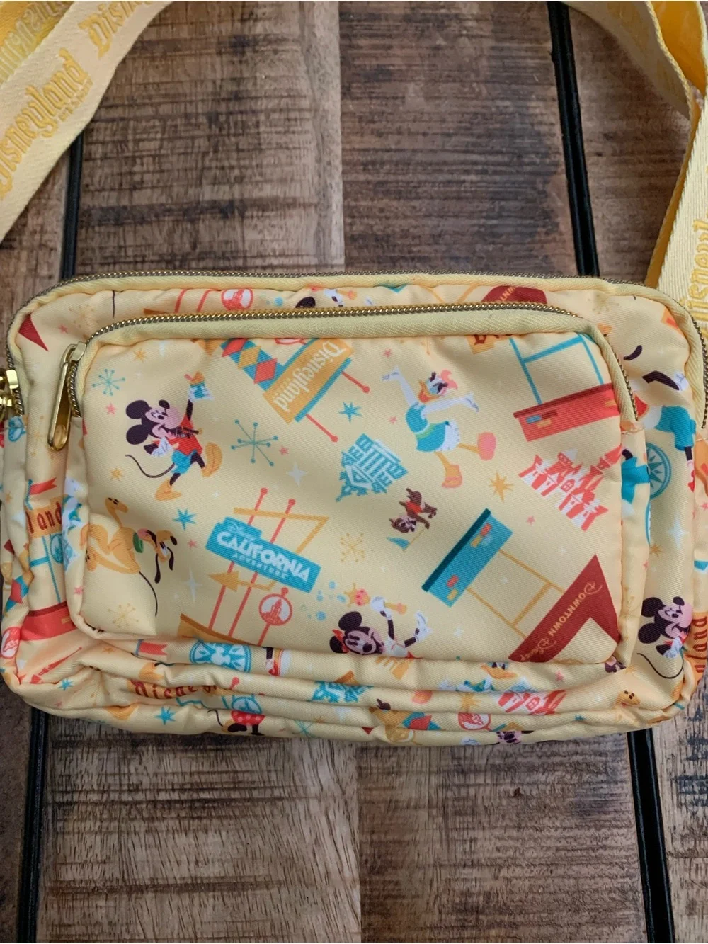 Disney Play in the Park Convertible Crossbody / Belt Bag